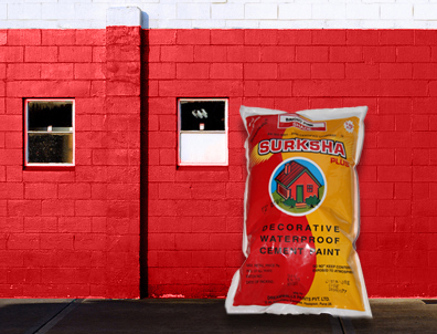 Suraksha Plus Cement Paint
